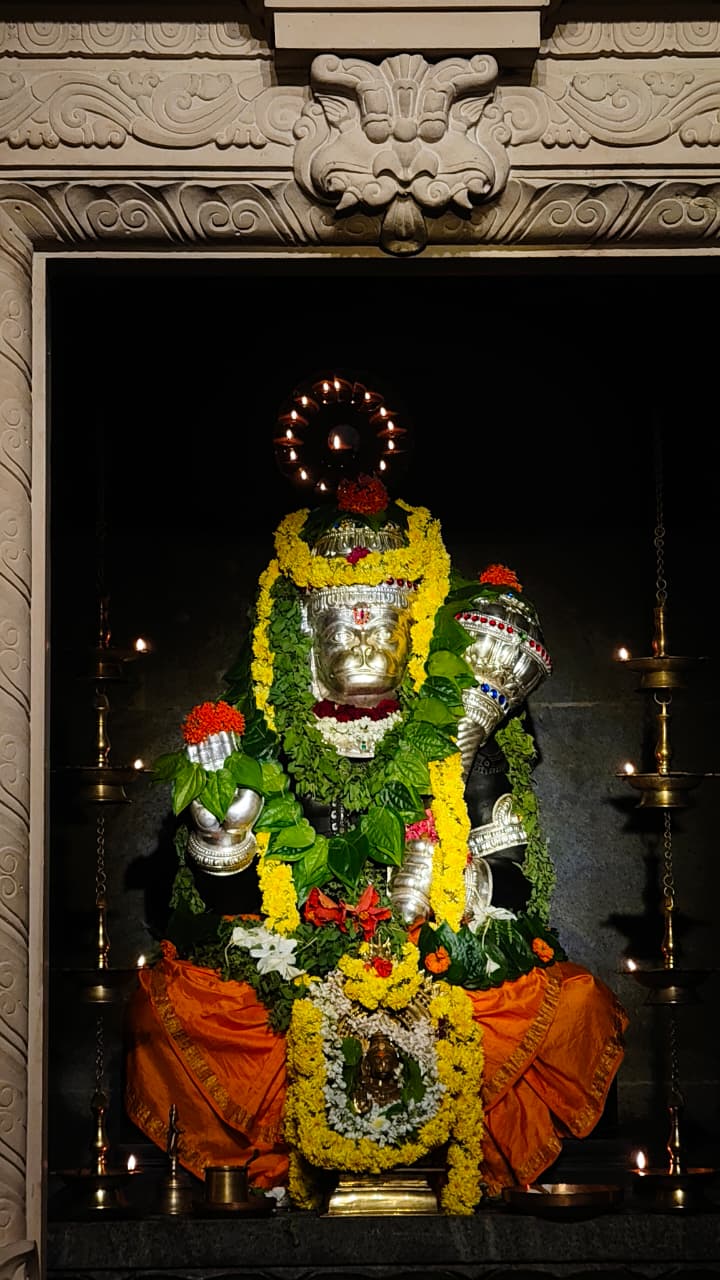 Temple View 6